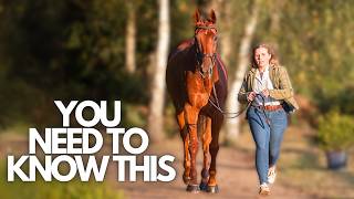 Horse Fitness Programs: What Every Rider Should Know!