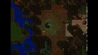 TIBIA - Where to hunt? #4 Shadowthorn