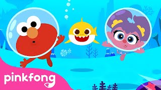 Baby Shark with Sesame Street | Baby Shark Song Compilation | Pinkfong Kids Song