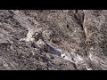 The Race to Find the Mysterious Snow Leopard | Snow Leopard: Beyond the Myth | BBC Earth