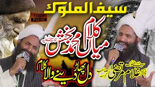Arfana Klam Punjabi 2022 | kalam Mian Muhammad Bakhsh | Saif Ul Malook | Dr Ghulam Murtaza Naqeebi