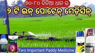 ୬୦-୮୦ ଦିନ ଧାନ ର ୨ ଟି ଇନ୍ ପୋଟେନ୍// ଧାନ ର ୨ଟି ଇନ୍ ପୋଟେନ୍ ମେଡିସିନ// two top medicine of paddy