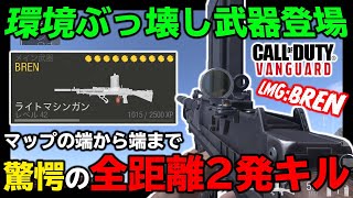 【極悪最強カスタム】キルタイム最速！？驚愕の全距離2発キル出来てしまう武器がヤバ過ぎたｗｗｗｗｗ弱体化不可避。【CoD:V実況】