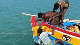 நம்ம படகை பழுது பார்த்தாச்சு / Our boat is ready to fishing | Ungal meenavan