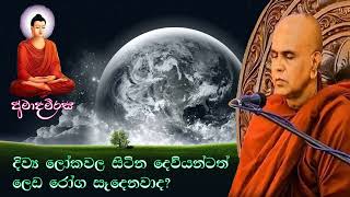 දිව්‍ය ලෝකවල සිටින දෙවියන්ටත් ලෙඩ රෝග සෑදෙනවාද? | Rajagiriye Ariyagnana thero