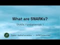 Intro to SNARKs 1: What are SNARKs?