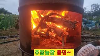 주말농장의하루#불멍#가을농사#초겨울#양평주말농장#ASMR#