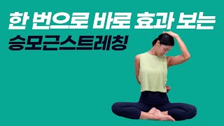 뒷목에 얹은 곰 한마리 던져!!주는 시~~원한 승모근스트레칭