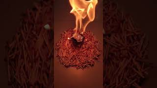 Matchstick VS Fish | Experiment Amazing Chain Reaction Domino #matchstick #experiment #fish