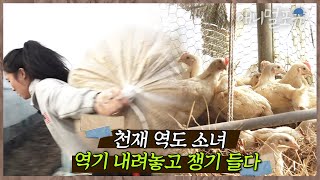 [풀버전] 포대도 번쩍! 15년 역도 끝 농사 시작, 금메달 따고 찾아온 슬럼프 깨준 고마운 반려닭과 염소 I KBS 인간극장 2019 방송