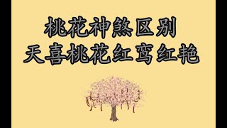 八字里的桃花神煞的区别，天喜、桃花、红鸾、红艳的区别