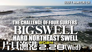 片貝漁港・新堤サーフィン波情報【Hard北東BigSwell】2024年2月28日