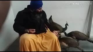 Bhai Sahib Bhai Dalbir Singh Ji Tarmala🙏