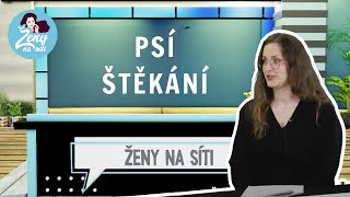 Obtěžuje vás štěkání psa? Veterinářka poradí, jak ho to odnaučit