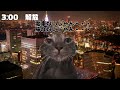 零細itベンチャー新卒社員の日常【猫ミーム】 猫ミーム