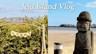 Jeju Island Vlog | 제주도 브이로그 | Jeju Shinhwa World Marriott