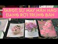 Tarot: SỰ MAY MẮN NÀO ĐANG RƠI TRÚNG BẠN?