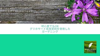 初心者でもOK！グリホサート系除草剤を使用したガーデニング