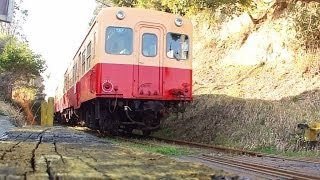 小湊鉄道 石神なの花畑 河津桜・養老渓谷駅 （千葉県市原市） 2014年3月24日