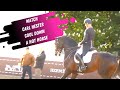 Watch Carl Hester Ride A Hot Horse In The Grand Prix Dressage Warm Up