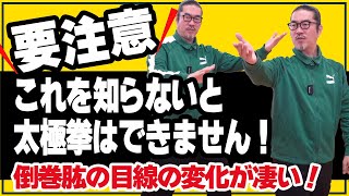 要注意！間違った太極拳にならないように・倒巻肱の目線？【太極拳解説】心地良い中村げんこうの太極拳、簡化24式太極拳・初心者からベテランまで誰でも気軽にできる太極拳・健康・瞑想・養生・陰陽・癒し