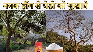 पेड़ो को कैसे सुखाये | पेड़ सुखाने का आसान तरीका | 100% Success