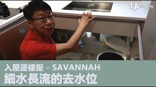 【胡‧說樓市 - SAVANNAH：細水長流的去水位💦💦💦】