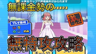 【ぷにぷに】二乃(ウェディング)無課金勢の無特攻攻略！！