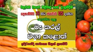 එළවළු වගාව පිළිබද පෙර දැනුම්දීම.--2019 දෙසැම්බර් මස 21 වැනිදා සිට 2020 ජනවාරි මස 05 වැනිදා දක්වා.