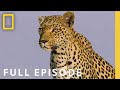 The Flood (Full Episode) | SPECIAL