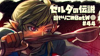 おたま仕事人、イーガ団アジト潜入｜すべてを越えた超やりこみBotW #44