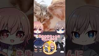 【ゆっくり実況 #Shorts】家族が増えました！！！！【癒し動画 #猫】