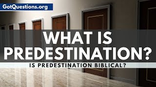 What is Predestination? | Predestination in the Bible | GotQuestions.org