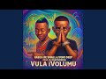 Kabza De Small & Vigro Deep - Vula iVolumu feat. DJ Maphorisa & Mr Jazziq