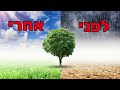 מדיטציה לשינוי הרגלים מזיקים ויצירת הרגלים בריאים