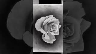 Hyperrealistic 3D Rose Sketch | Realistic Drawing