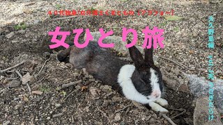 【４０代独身女】久しぶりの大久野島/RABBIT ISLAND/うさぎに癒された/女１人旅/うさぎ率高め/travelvlog【介護士の休日】vol.2