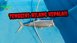 JIGGING| Trip Kuala Nyalau Bersama Sahabat Lama. #2023/4 #jigging #bintulu #tenggiri #senses  #