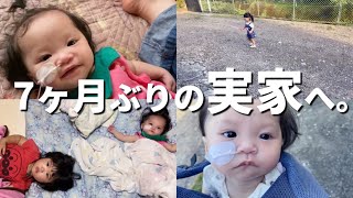 和歌山の実家に帰省してきました！ピナちゃんとちぇなちゃんの反応は！？