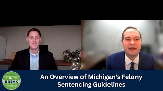 An Overview of Michigan's Felony Sentencing Guidelines
