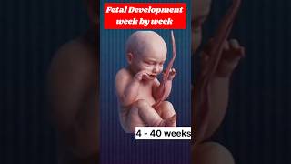 Fetal Development week by week #shorts #fetaldevelopment #neonatalcare