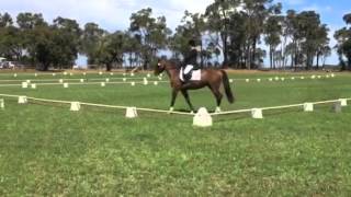 Warrego Judah dressage Capel prelim 19/3/16