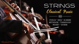 3 Hours Strings Classical Music Playlist | Vivaldi Bach Mozart Beethoven Albinoni