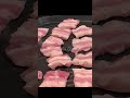 Pork Belly Easy Recipe #shorts