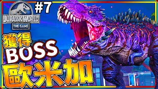 🦖🦖終於獲得BOSS歐米加啦!! #7《侏儸紀世界 遊戲》 jurassic world the game【老頭】