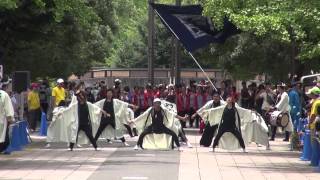 踊乱會＠2014　よさこい祭りin光が丘公園