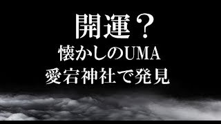 【開運？】ひょっとしたらご利益あるかも 愛宕神社のUMA