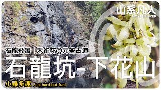 石龍坑｜石龍飛瀑｜下花山｜元荃古道｜禾雀花｜行山｜詳細路況｜山系凡人