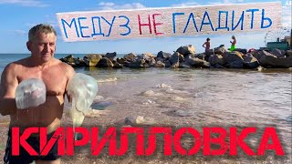 Кирилловка - МЕДУЗЫ - Азовское море