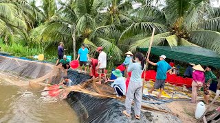 ANH HAI KÉO TÔM LÊN  BÁN ĂN TẾT - LỜI GẦN 200 TRIỆU - CHÒI LÁ QUÊ # T 47